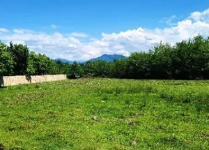 Urgently For sale 1689 m² land plot in Chokhatauri