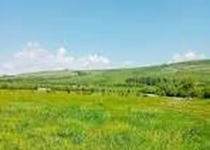 For sale 3000 m² land plot in Vani