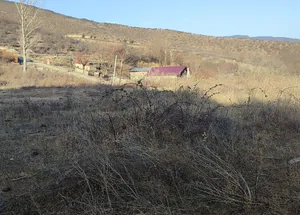 For sale 3636 m² land plot in Mtskheta
