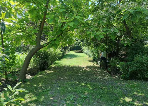 Urgently For sale 5-room country house in Misaktsieli