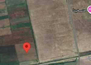 For sale 5856 m² land plot in Tsilkani