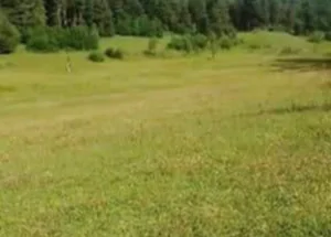 For sale 1.4 hectares land plot in Mestia