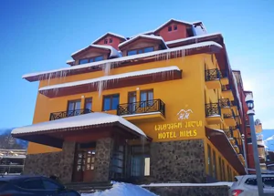 Срочно Продается 1708 м² гостиницы в Бакуриани