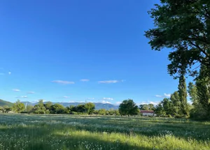 Urgently For sale 1500 m² land plot in Misaktsieli