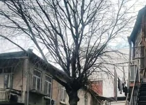 Срочно Продается 2-комнатная квартира на Мтацминда, в Тбилис