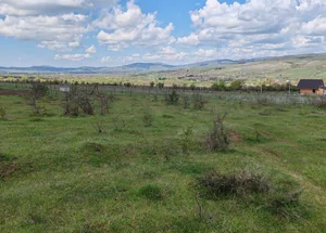 For sale 5000 m² land plot in Tianeti