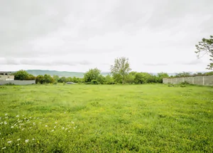 Urgently For sale 2000 m² land plot in Tsilkani