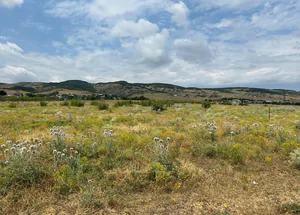 Urgently For sale 14 hectares land plot in Mukhrani