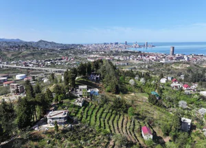 Urgently For sale 1362 m² land plot in Batumi