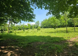 For sale 1100 m² land plot in Terjola