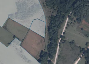 For sale 2746 m² land plot in Terjola