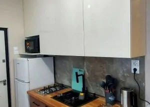 Urgently For rent 2-room apartment on Mtatsminda, in Tbilisi