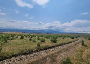 იყიდება 1.2 ჰექტარი მიწა სამგორში, თბილისში