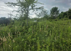 For sale 876 m² land plot in Tskaltubo