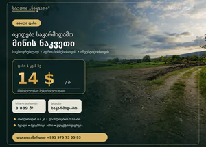Срочно Продается 3889 м² земельный участок в Сагареджо