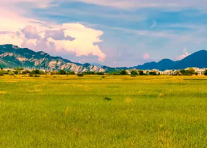 For sale 4000 m² land plot in Kvemo Nichbisi, in Mtskheta