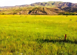 For sale 4000 m² land plot in Kvemo Nichbisi, in Mtskheta