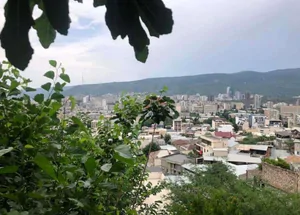 Срочно Продается 3-комнатная дом в Ведзиси, в Тбилиси