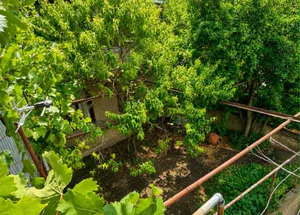 Urgently For sale 3-room apartment in Nadzaladevi, in Tbilis